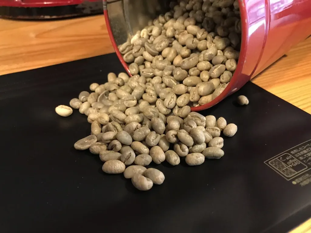 焙煎前の生豆。うすい緑色をしている。